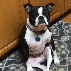 Meet your Posher, Courtney